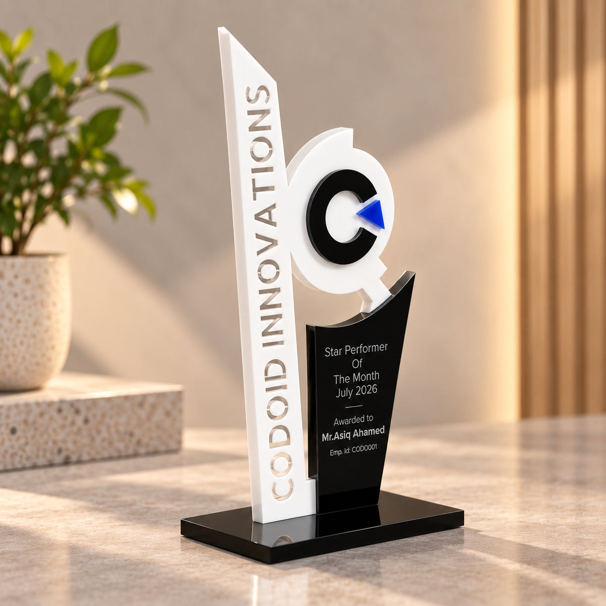 Corporate Recognition Trophy